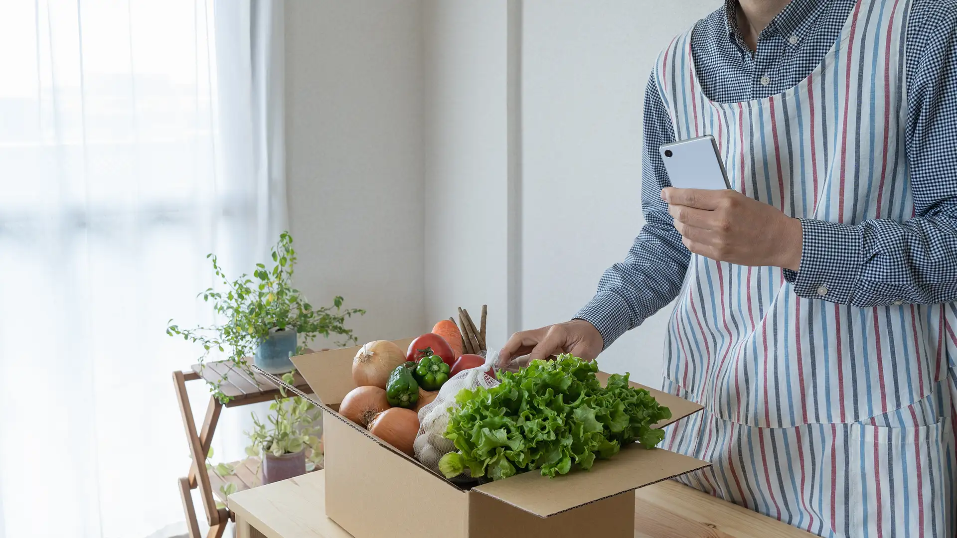 Gemüse in einem Karton, Mann mit Handy in der Hand packt das Gemüse in den Karton.